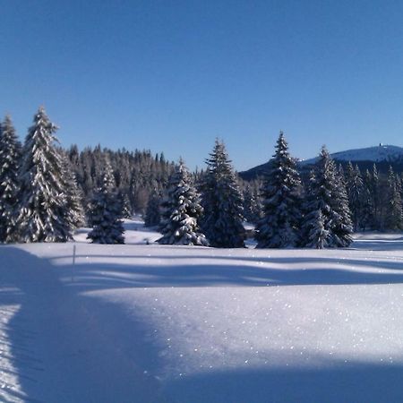 Chalet Daria Prémanon Eksteriør bilde