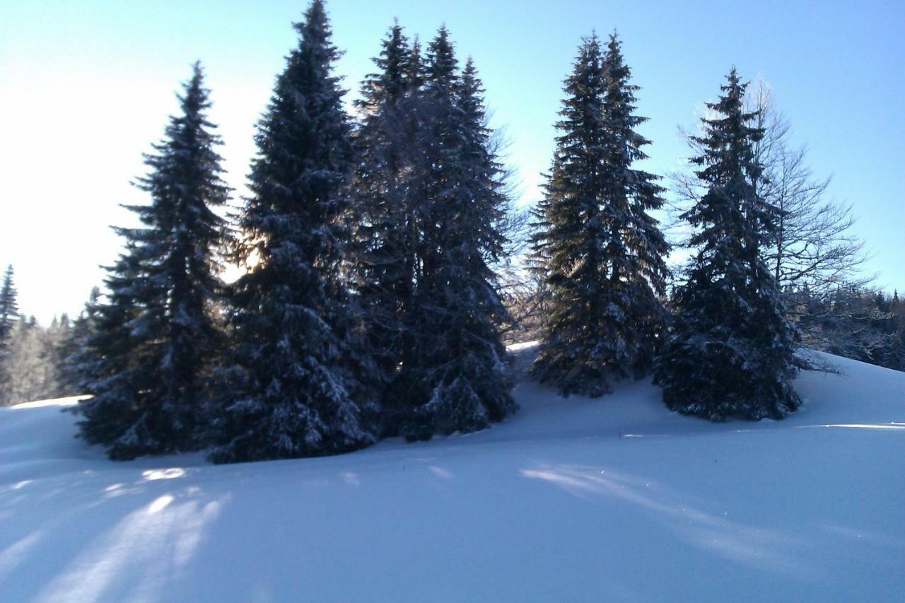 Chalet Daria Prémanon Eksteriør bilde