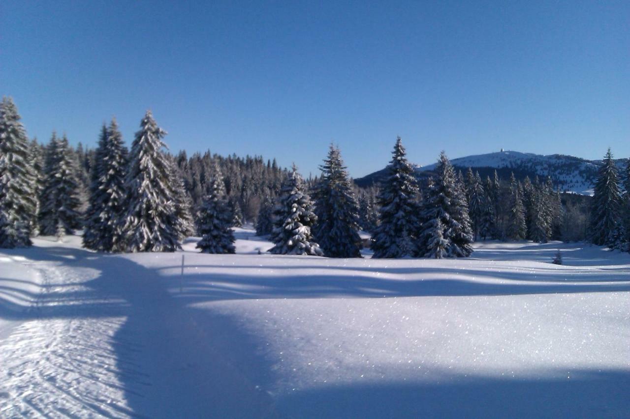 Chalet Daria Prémanon Eksteriør bilde