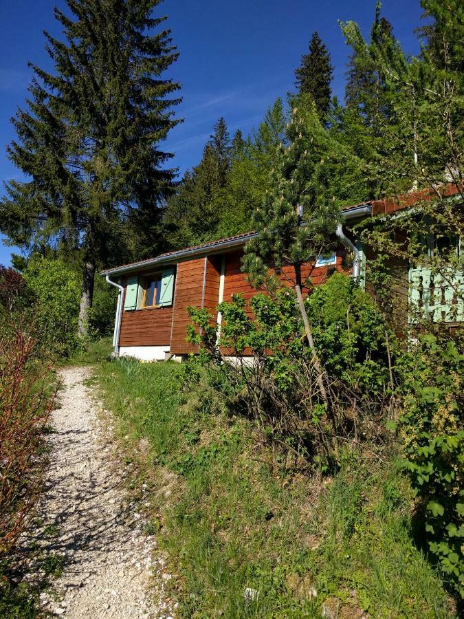 Chalet Daria Prémanon Eksteriør bilde